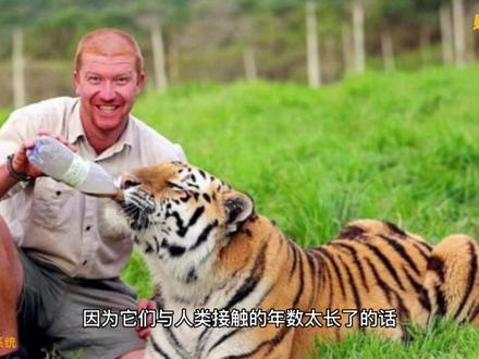 俗语“鸡不过六,狗不过八”,你知道什么意思吗?