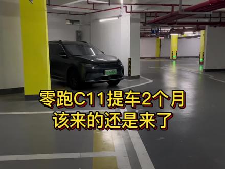 零跑C11的通病你最受不了哪个#零跑c11 #零跑汽车 #新能源汽车 #dou是好车