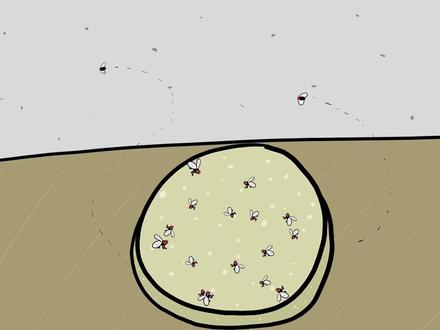 那些可怕会致命的食物,谨慎尝试 #科普 #食物