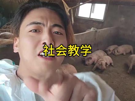 社会教学。#养猪 #养猪人 #吹牛逼养猪不挣钱