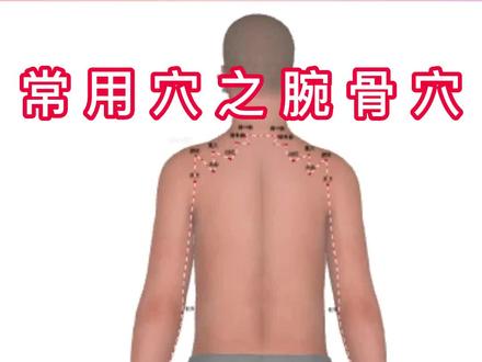 常用穴位之腕骨穴! #健康养生小知识 #分享健康知识 #小动作大作用 #利胆退黄 #贵在坚持 #健康创作者扶持计划 #抖音支持视频章节啦 @抖音创作者中心