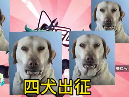 马年大吉祝福还不超标?#蛋仔派对 #超燃竞技场