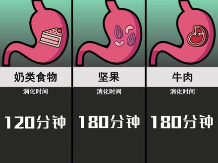 比较:各种食物在胃里停留时间 #抖音小助手