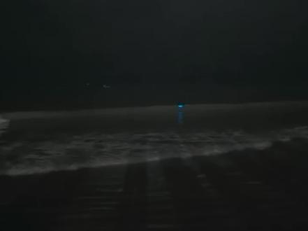 今夜陪你一起去松兰山看蓝眼泪。#夜晚的大海 #蓝眼泪 #大海