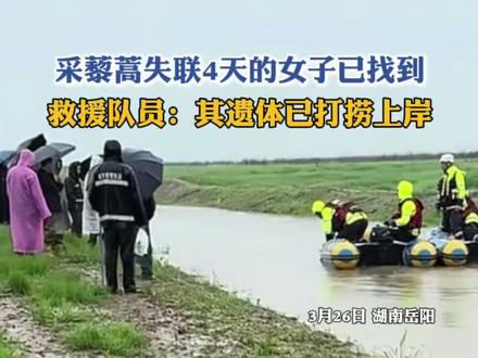 洞庭湖边采摘藜蒿失联4天的女子已找到;救援队员:其遗体已打捞上岸