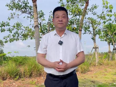 老庞接下来全面讲讲岭南 #老庞说事 #岭南 #地名故事