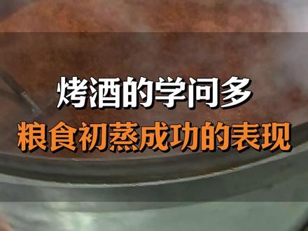 烤酒的学问多,粮食初蒸成功的表现 #烤酒 #酿酒 #酒厂 #白酒知识