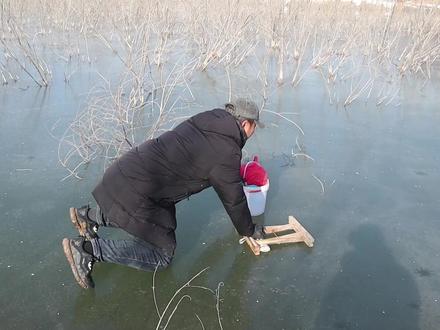 冰钓就是这么刺激,每个洞都像探宝一样,真的容易让人上瘾啊! #2023dou来钓鱼 #原来钓鱼才是抖音运动顶流