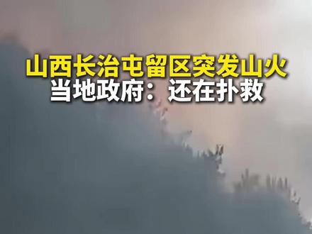 屯留区政府工作人员称,已抽调多个部门人员参与灭火,起火原因及过火面积等相关情况,有待进一步调查统计。(百姓关注)