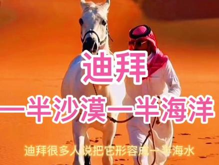 #我要上热门抖音小助手 #热门话题 #迪拜 #沙漠之旅 #沙漠#一半海水一半沙漠 迪拜一半海水一半沙漠,景色太美了