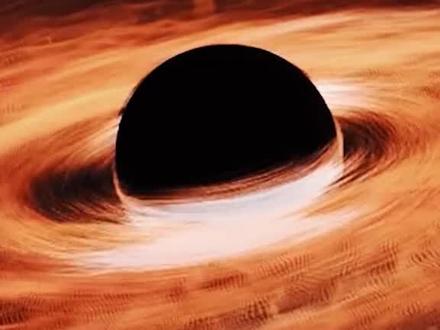 蚂蚁知道人类的存在吗?