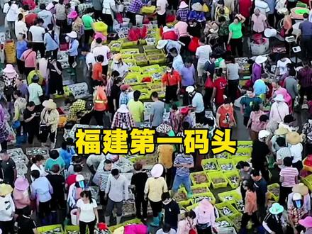 福建码头9月8日海鲜行情,你们那海鲜贵吗#海鲜 #海鲜原产地#三农 #真实生活分享计划 #流量扶持