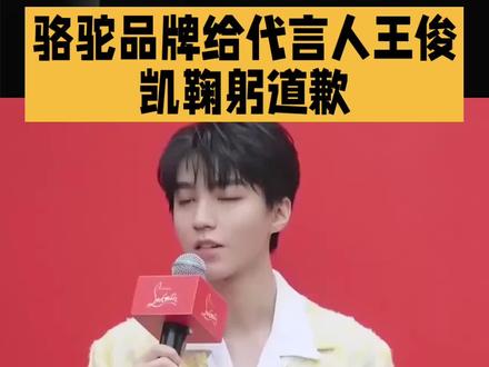 骆驼品牌给代言人王俊凯鞠躬道歉
