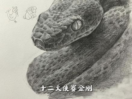 大家猜猜我属什么?十二大侠赛金刚#十二生肖 #拼豆 #画画 #手绘 #青年创作者成长计划