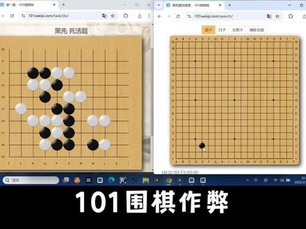 不同人用101围棋作弊 #围棋 #101围棋网