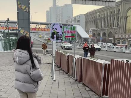 不堵车!不排队!乘地铁看大熊猫!#宝元 #德瑞#大熊猫 #乌鲁木齐