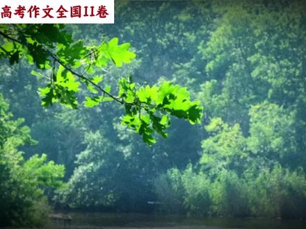 【2026高考全国II卷】作文解析 | “日月不失其体,故蔽而复明,江汉不失其源。故穷而复通”
真正绵长的河流,从不害怕一时受阻,只要源头仍在,终会奔涌入海。
#2026高考语文 #作文 #语文 #抖音精选高考应援联盟 #作文解析