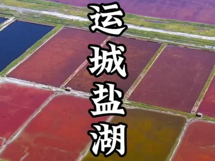 媲美中东死海的运城盐湖 为何成为上帝的调色盘#旅行 #世界大同说 #旅行推荐官 #盐城