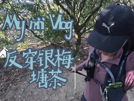 单人solo反穿银梅塘茶 菜鸟又来solo了 之前一个人走了三水
那这个号称小三水的银梅塘茶也必须来体验一下
前段鲲鹏径第七段的风景实在太好
拍拍玩玩耽误了很多时间
这次主要来熟悉路线 只求走完 不追求速度哈哈哈
下次再认真拉练啦
🟢
地铁到茶光站 然后导航到紫涧园开始徒步
🟣
这次跟的是两步路app的轨迹【银梅塘茶保姆级路线攻略(反穿)】by作者:Susu-苏苏喂苏苏
轨迹很详细 可以导入高驰手表 跟着手表走基本不会错
全程23km 我的累计爬升2068m
🟡
整体感觉没有三水难
三水的重复上下坡更多 而且后面的死亡下坡比银梅塘茶更离谱….银梅塘茶走起来还是很舒服的 不过后半段有些枯燥… 可能因为我是反穿,正穿的话就是后面风景漂亮了。
这次是城市内部成熟路线 所以才敢solo
建议还是结伴出行 更安全 因为有几段路还是蛮野的
新买的action5pro终于拿来用了 但感觉不是很会拍
简单记录下吧 我的菜鸟徒步🤪
#我的徒步日记 #银梅塘茶 #鲲鹏径