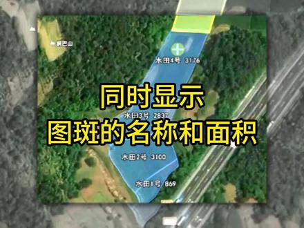 同时显示图斑的名称和面积 #bigemap国产基础软件 #GIS技巧 #图斑 #测绘工程