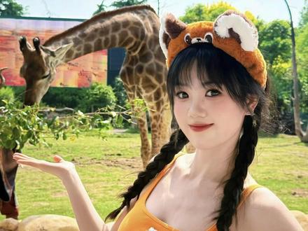 银基好玩!依旧附攻略! #vlog #银基动物王国 #动物园里有什么