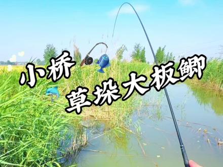 小桥草垛守大板 #钓鱼#野钓#野河野钓#蓝鲫青春版#老坛甜薯