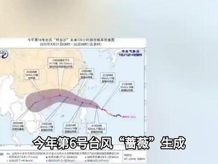 今年第6号台风“蔷薇”生成,广东明起需防“下开水”