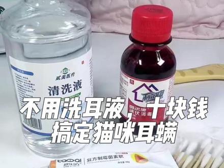 猫咪耳螨崩溃预警!十来块钱就能根治,只需要3步干养,洗耳液退!#猫咪耳螨 #新手养猫 #养猫经验分享 #养猫新手 #猫咪好物