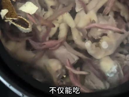 这是什么昆虫,有毒吗?#科普 #昆虫 #神奇的动物在抖音