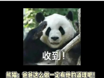 难怪学生一看就知道是哪个老师教的! #熊猫 #人教版 #国宝不愧是国宝