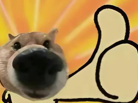 河北单招语文邪修大法!#单招#河北单招#曼波#邪修