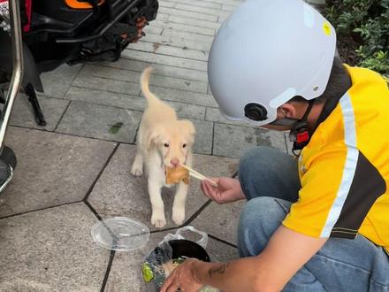 这才是一个外卖员正确的做法#外卖小哥 #搞笑视频