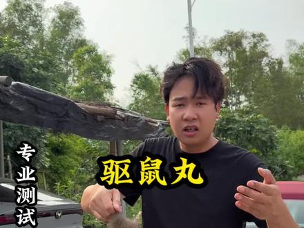 驱鼠丸真的有效果吗?来看二狗现场实测!#测试 #老鼠