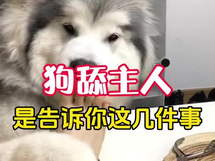 狗舔主人,是告诉你这几件事
