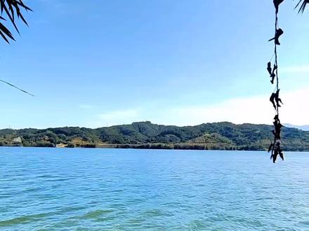 8米水深狂拔大鲤鱼,最后不是不想钓了是真的有点拔不动了#原来钓鱼才是抖音运动顶流 #风浪越大鱼越多