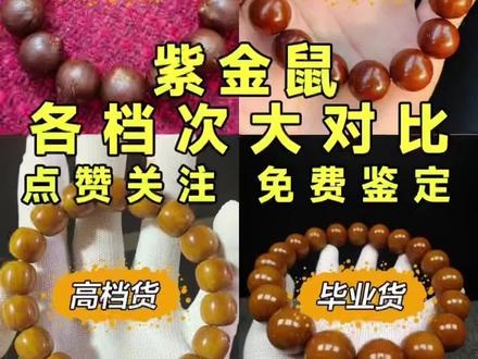 你会区分紫金鼠的档次吗?#文玩手串 #文玩爱好者 #万物皆可盘 #紫金鼠