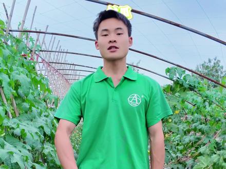 瓜类种植技术 之 高产搭架方法 丝瓜黄瓜南瓜等各种瓜类的高产搭架方法,助力种瓜无忧,高产不愁。#三农 #丝瓜种植技术 #瓜类种植 #种植小技巧 #创作灵感