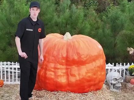 我做了一个巨型Feastables南瓜灯 #野兽先生 #MrBeast #减速带 #国外综艺 #奇葩挑战