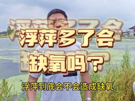 浮萍多了会缺氧吗!!#水产养殖 #大闸蟹养殖 #小龙虾养殖