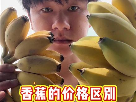 你们那香蕉多少钱一斤? #小铃铛水果 #苹果蕉