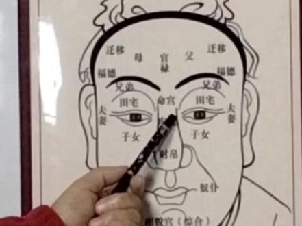 今天来聊聊面相学中的山根#面相 #悟人生之道
