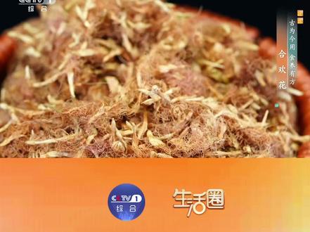 【合欢花代茶饮 舒缓情绪睡得香】 总觉得心里烦躁、晚上睡不踏实?合欢花是天然的安神好物,搭配菊花、玫瑰花和茉莉花做成无忧花茶,既能平复烦躁情绪、帮你睡得更香,还能缓解口干上火、眼睛干涩,常喝对改善气色也有帮助。做法特别简单,沸水冲泡就能喝,加片柠檬或陈皮味道更好。#抖出健康知识宝藏