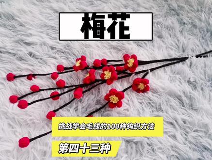第43种,挑战学会毛线的100种钩织方法的第四十三种,梅花。梅花钩织教程和组装教程 。 #手工毛线花朵 #挑战学会毛线的100种钩织方法 #梅花