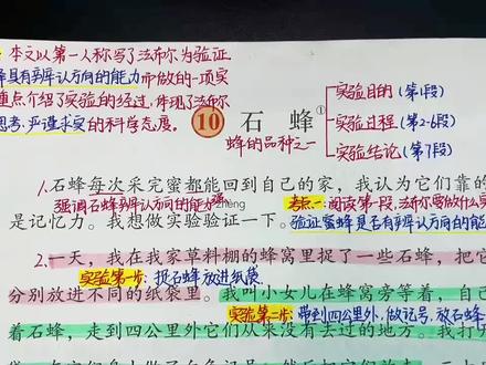 三下第10课《石蜂》重点梳理 课后习题一定要理解记忆#手写知识点总结 #手写笔记 #三下语文
