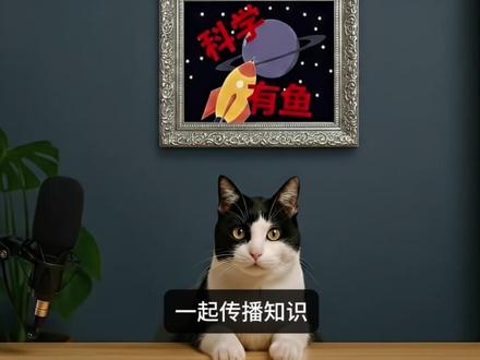 弦理论如何从几乎什么都没有中诞生?