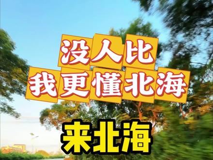 来北海交通出行怎么选?本地人来告诉你!#北海旅行#北海#涠洲岛#旅行#攻略
