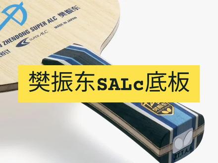 樊振东SALC底板
