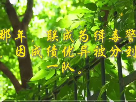 超长同人文配音,N人前的视频,现在搬抖音上,相信我,超“甜”的文是我写的,剪辑老师是@洛凌霜 很权威的一位老师#CH #同人文 #无刀子 #ch瓷 #ch美