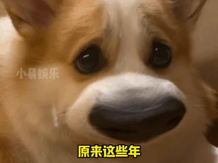 以前是制造梗,现在是搬运梗,以前是想你笑,现在是想你哭#春晚 #小品 #娱乐评论大赏
