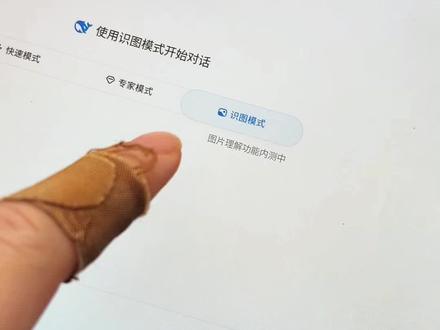 Deepseek的识图功能上线了 #deepseek